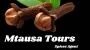 mtausatours
